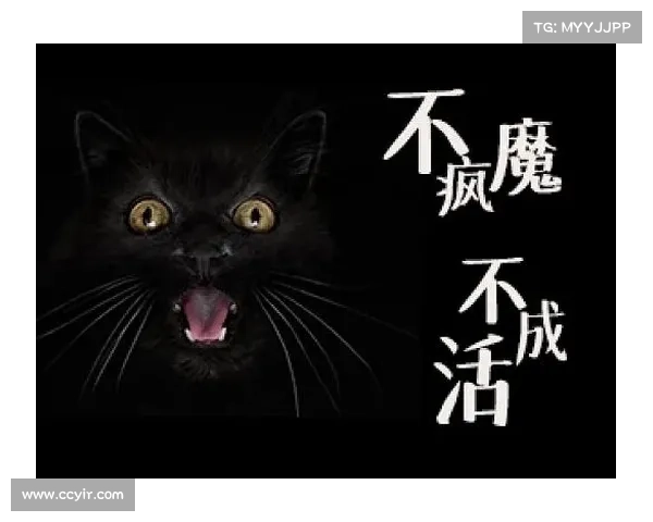 不疯魔不成活,人人都爱贝尔萨 不疯魔不成活,人人都爱贝尔萨